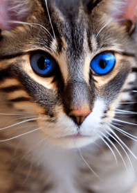 แมววิ่ง Wild #crvr319