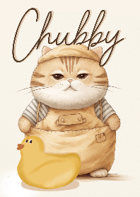Chubby chubby cat