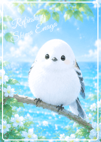 blue Refreshing Summer Shima Enaga