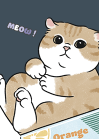 neko single16 / indigo