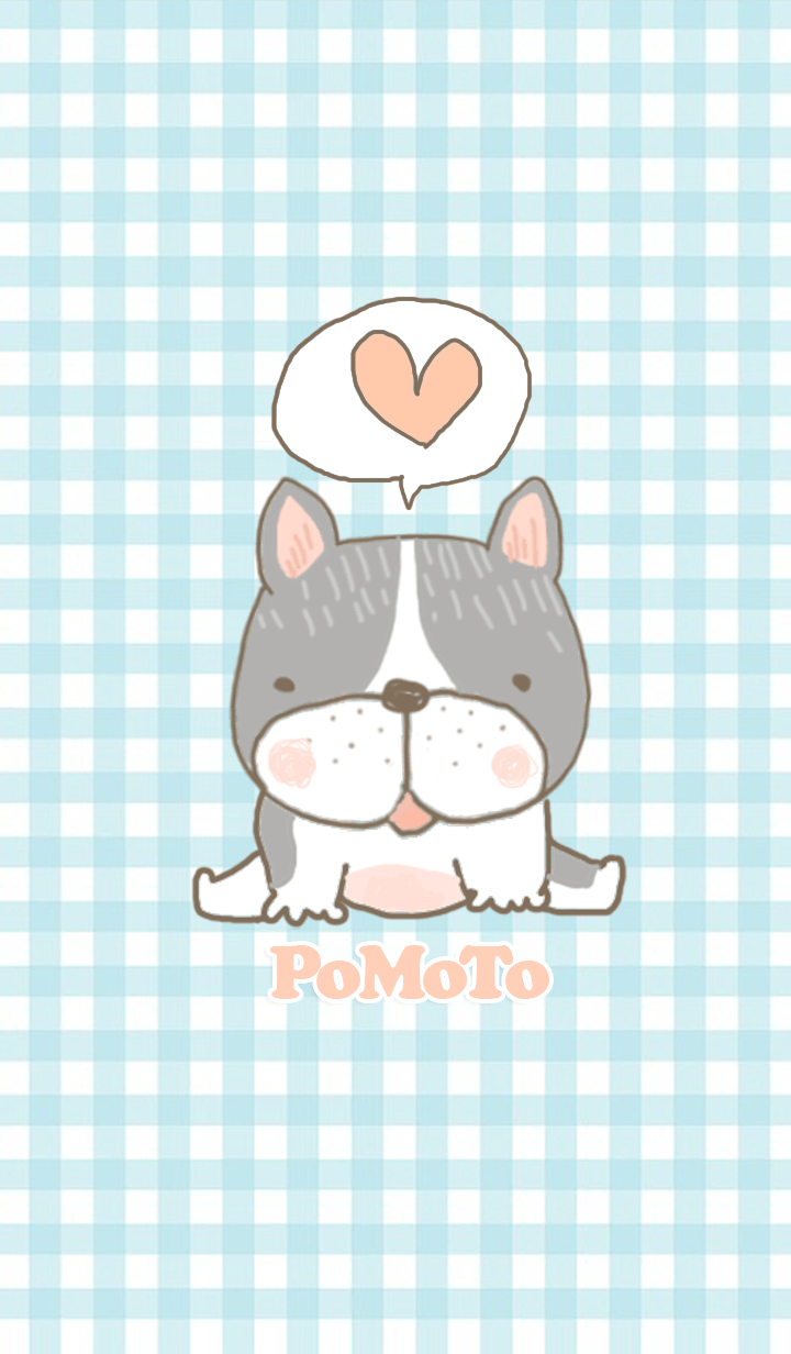 PoMoTo The Dog