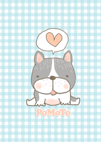 PoMoTo The Dog