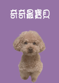 奇奇最寶貝