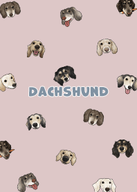 dachshund4 / mist pink