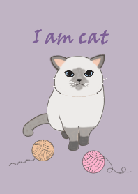 Animal Series-Cat to Play with Ball 2