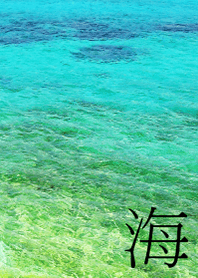 sea.