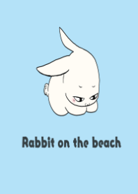 Rabbit on the beach