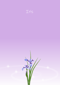 April birth flower,Iris.