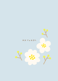 2 flowers adult24 from Japan