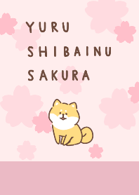yuru shibainu sakura
