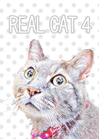 REAL CAT4