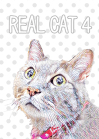 リアルにゃんこ4