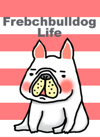 Frenchbulldog Life Pink