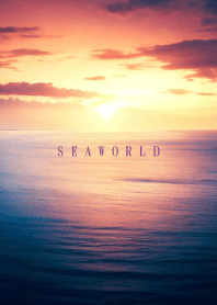 SEA WORLD-Sunset 60