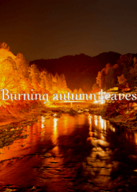 Burning autumn leaves