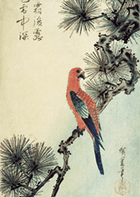 "Parakeet on pine"