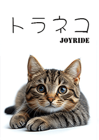 猫 トラネコ