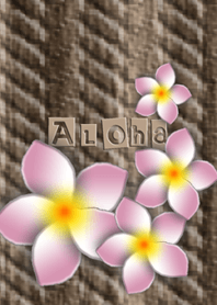 ALOHA*