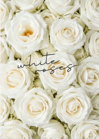 White Roses for love Light Green theme