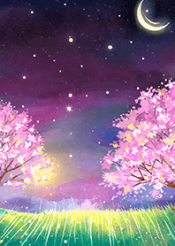 Beautiful night cherry blossoms#1867