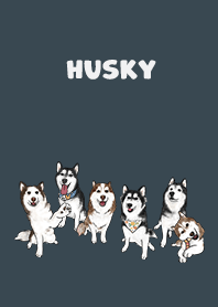 husky1 - indigo
