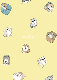 neko combo5 - lemonade