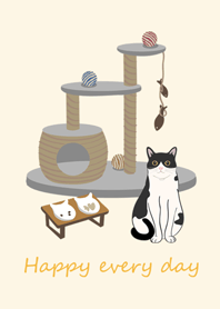 可愛居家貓咪(牛奶貓咪)