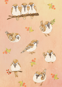 Sparrow illustration (pink)