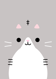 FACE (silver tabby cat)