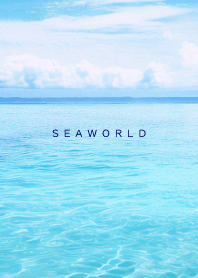 SEA WORLD - Hawaii 38