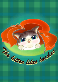 The kitten likes hoodies ,,,
