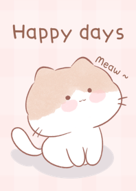 kitten cat : happy days