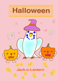 ハレルキのブルーインコ Halloween2019