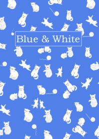 Blue White Color 01