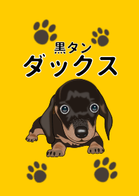 ミニチュアダックスフンド（ブラックタン）
