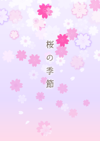 桜の季節 2