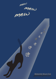 Midnight Black Cat ～深夜の黒猫