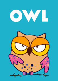 Owl Daily Life