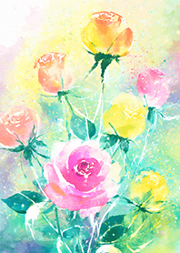 Beautiful rose flower(R2176)