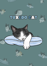 tuxedocat4 / dark cadet blue