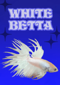 White betta@Pet grand prize