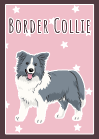 ボーダーコリー（ブルー）