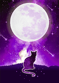 Full moon and Cat 9