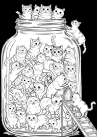 Bottle cat in black