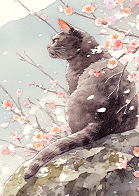 A black cat under a cherry blossom tree