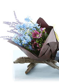 theme【flower】23