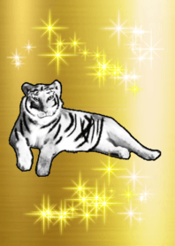 lucky gold Tiger White god