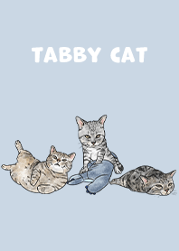 tabbycat5 - baby blue