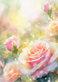 Beautiful rose flower(R1638)