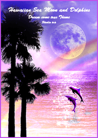 恋愛運UP!!♡ハワイの海 月とイルカ